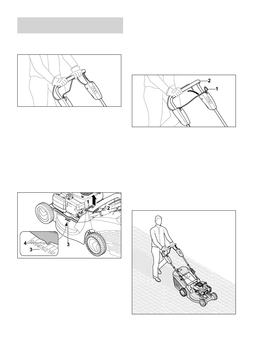 Page #447 background image