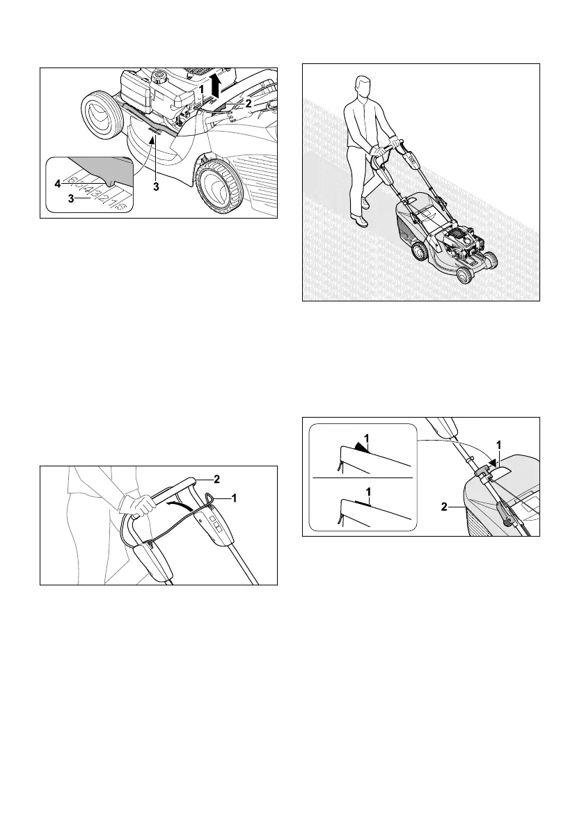 Page #68 background image
