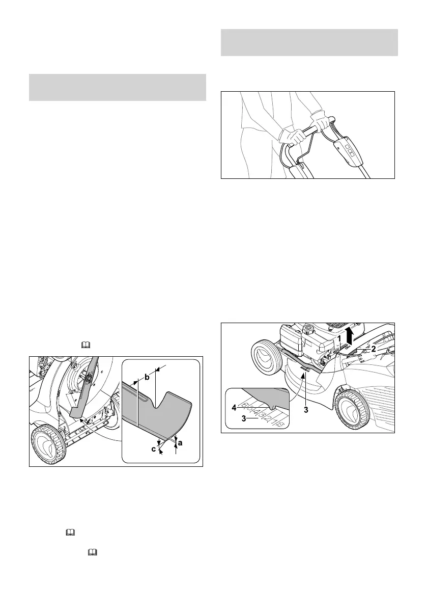 Page #225 background image