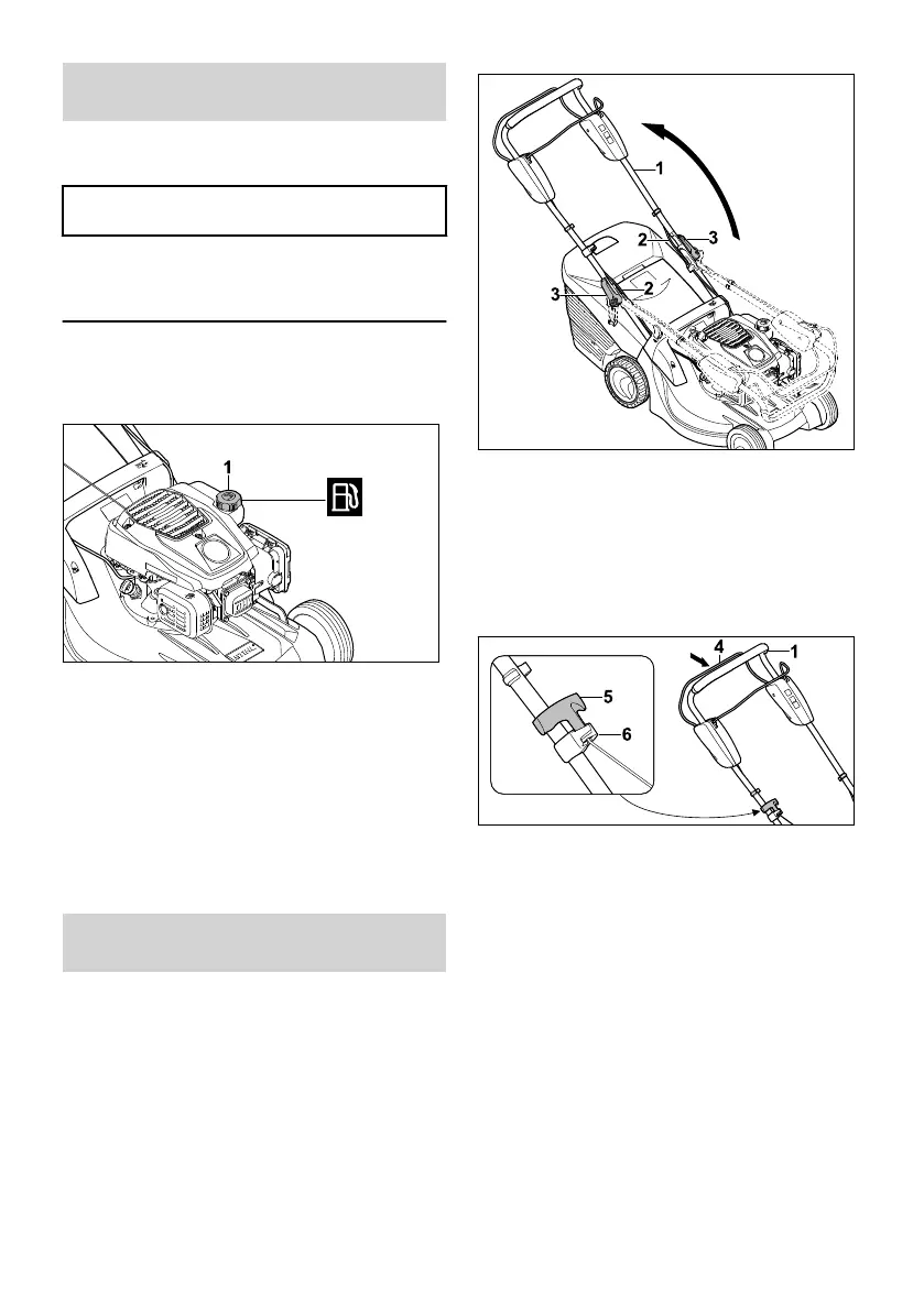 Page #242 background image
