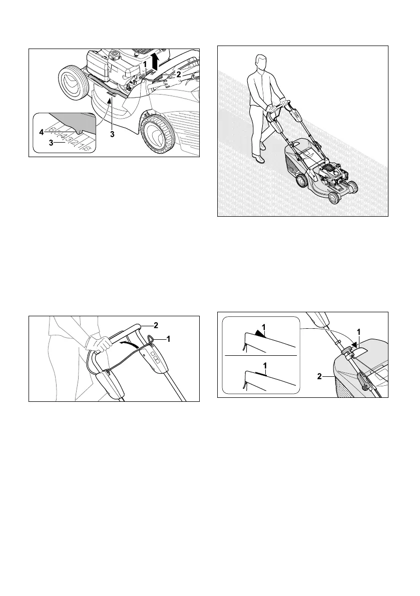 Page #244 background image