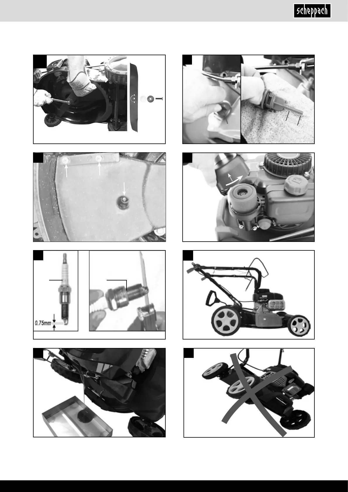 Page #5 background image