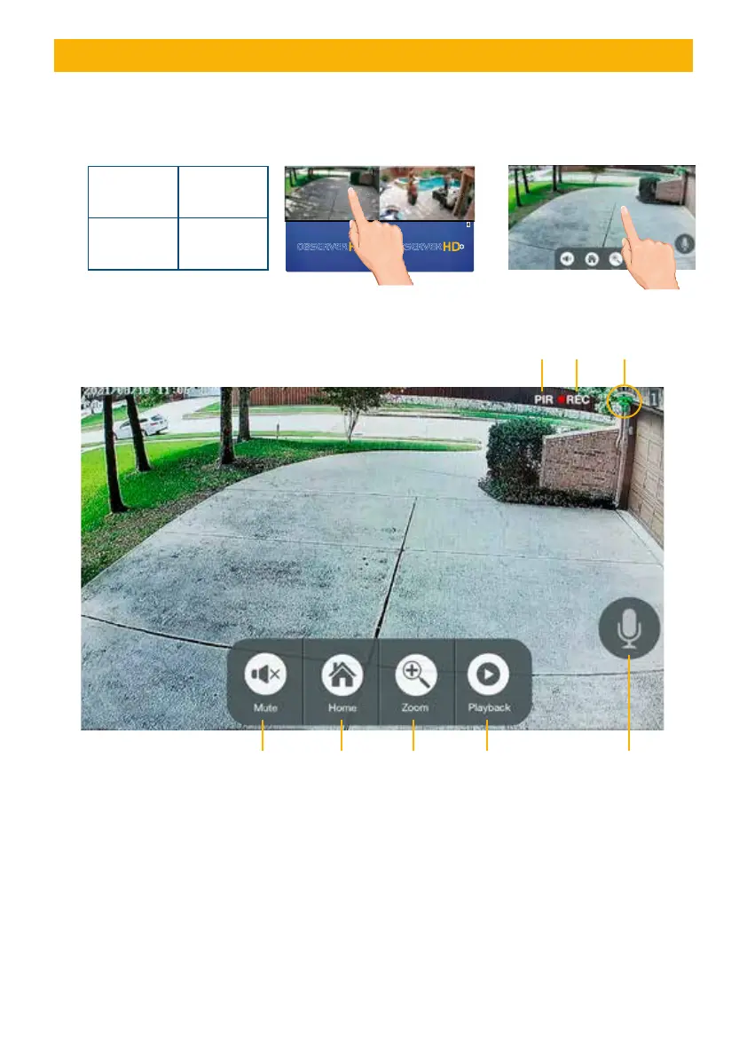 Page #12 background image
