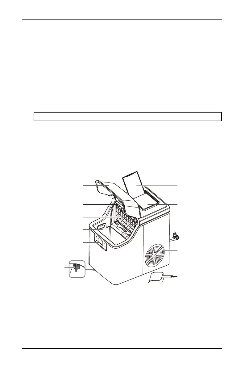Page #5 background image