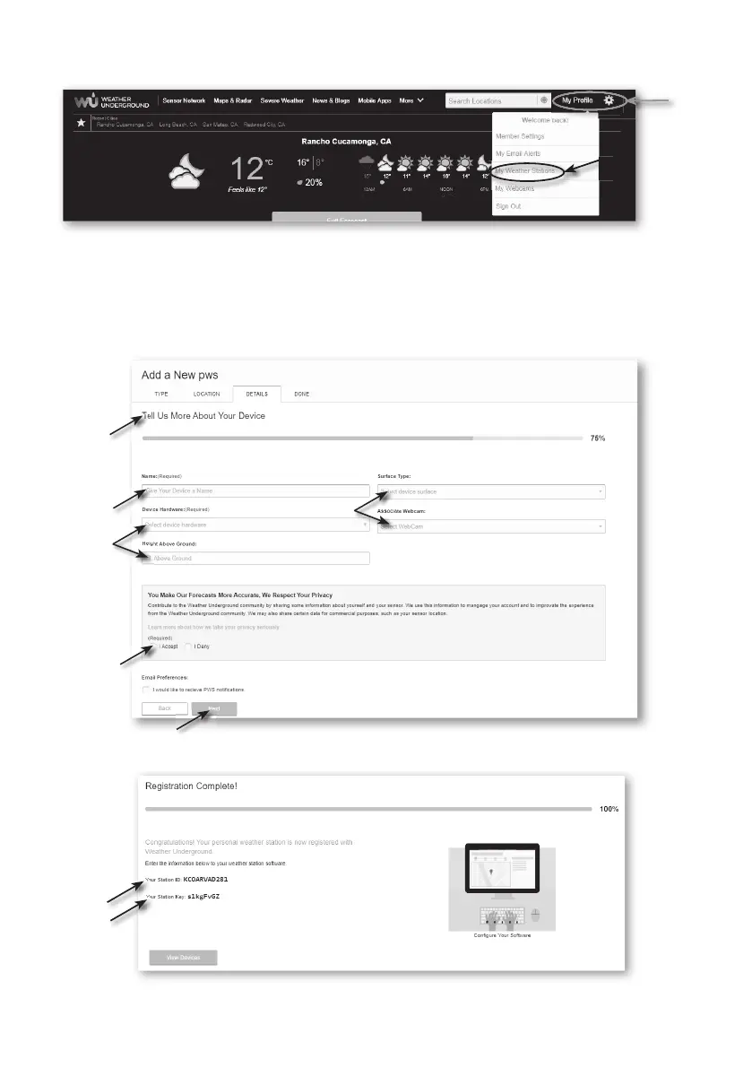 Page #12 background image