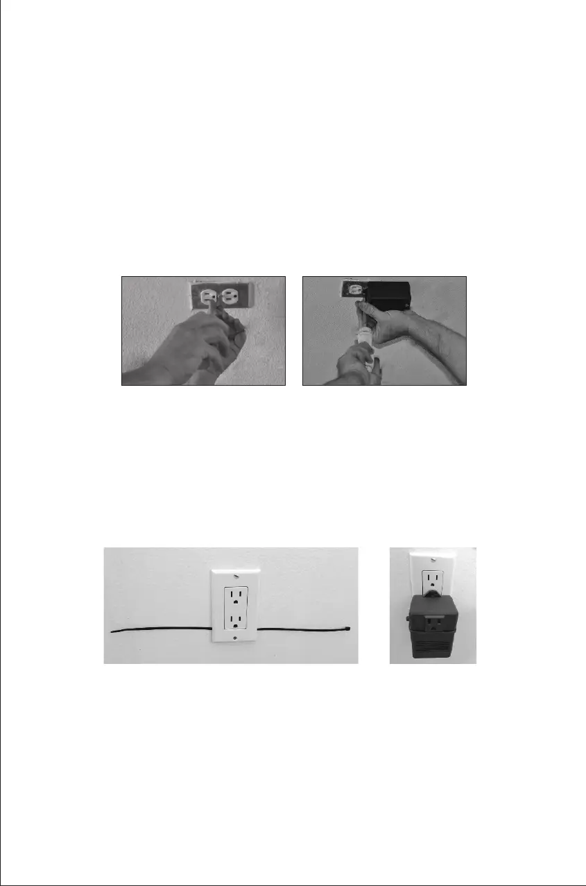 Page #8 background image