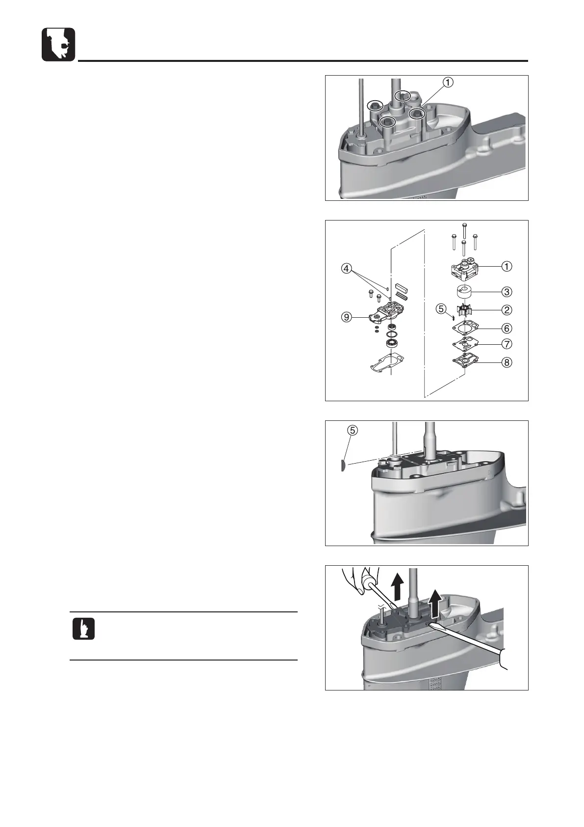Page #242 background image