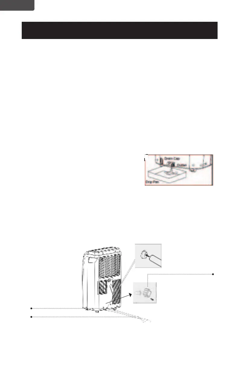 Page #46 background image