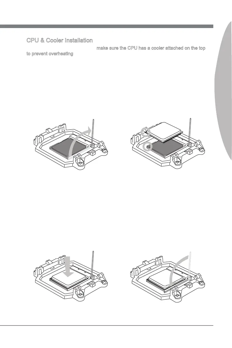 Page #21 background image