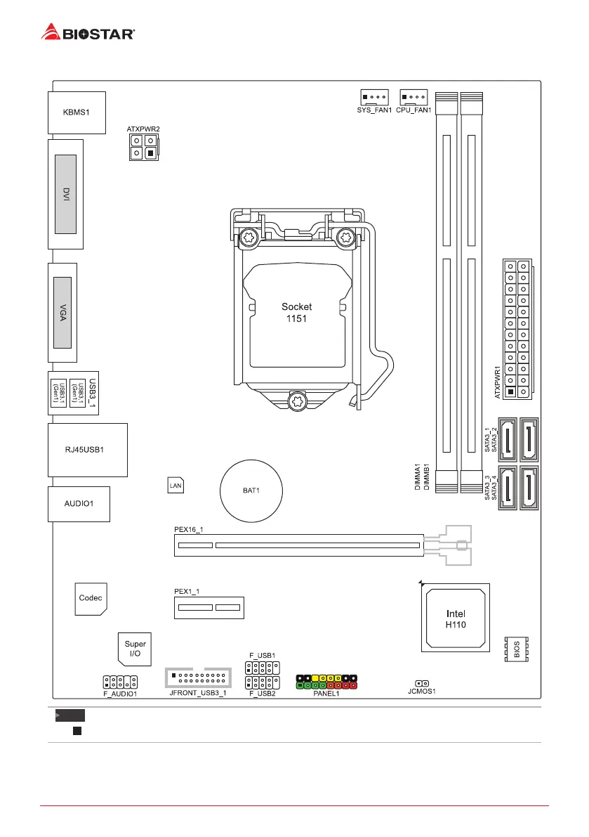 Page #6 background image