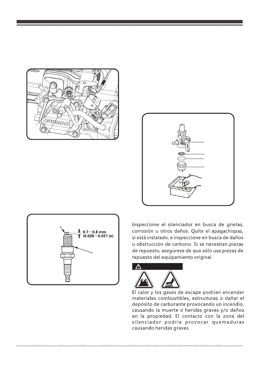 Page #66 background image
