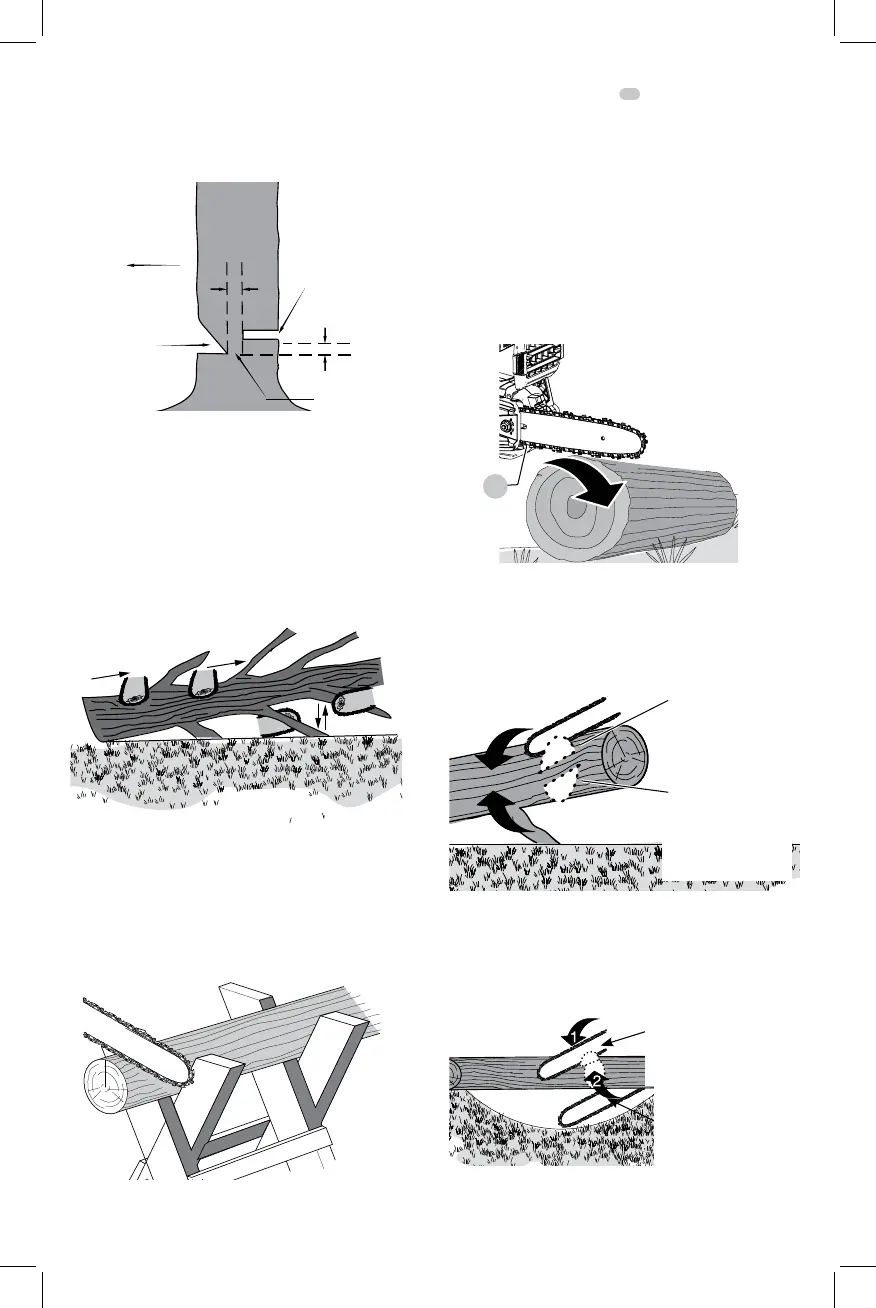 Page #44 background image
