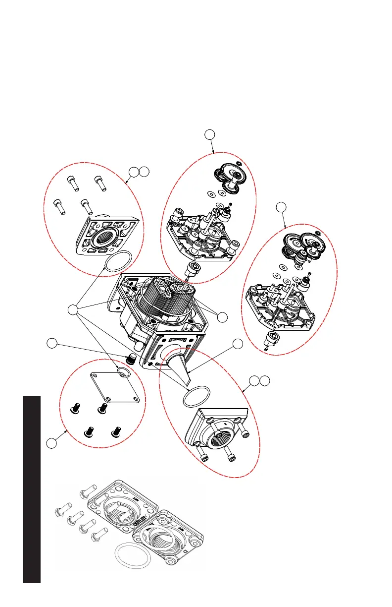 Page #12 background image