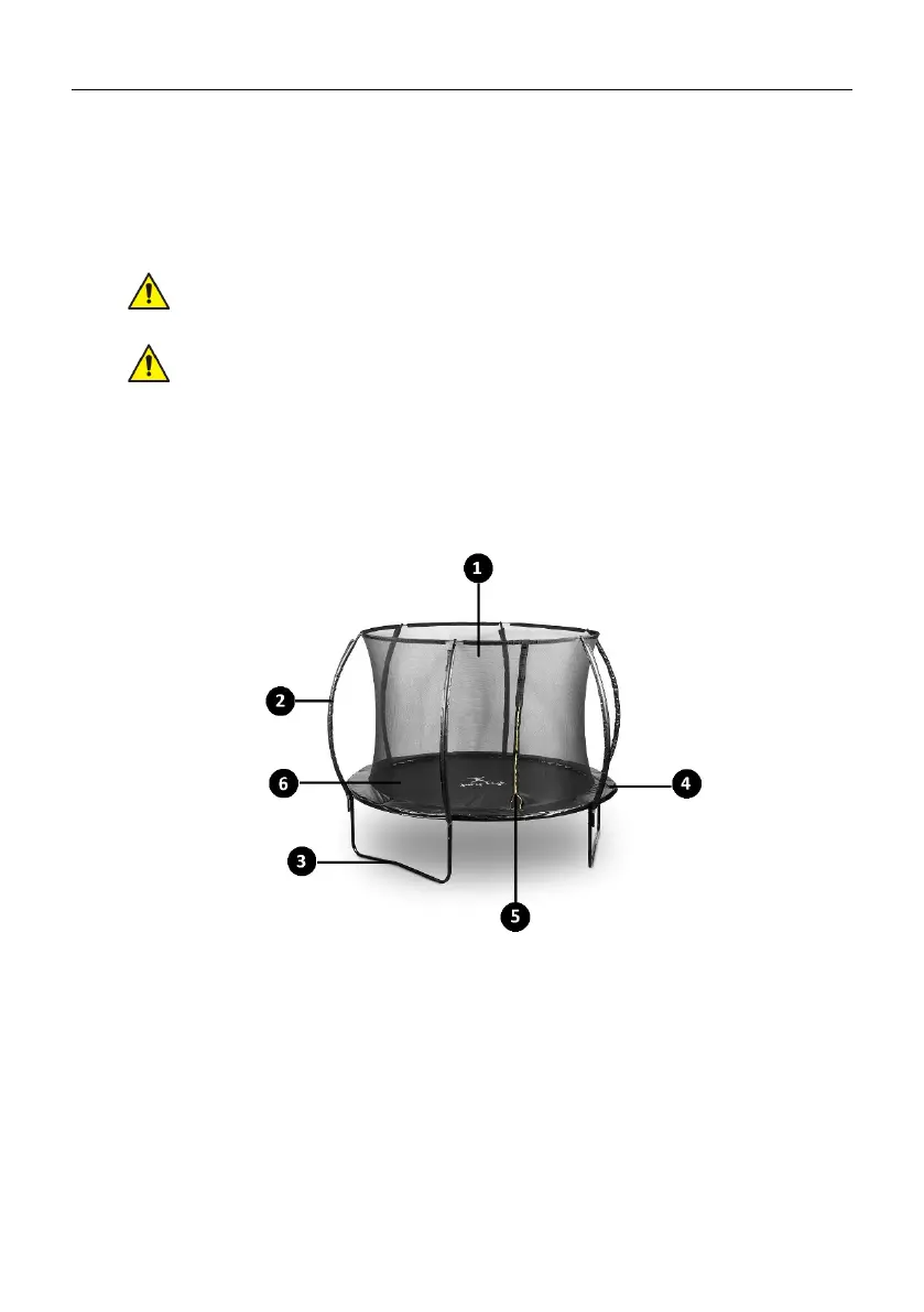Page #7 background image
