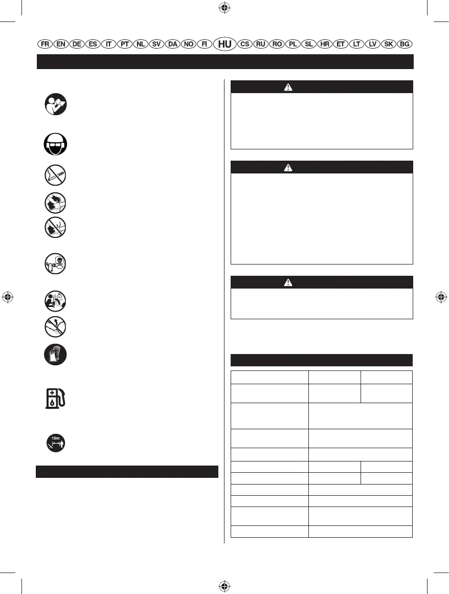 Page #209 background image