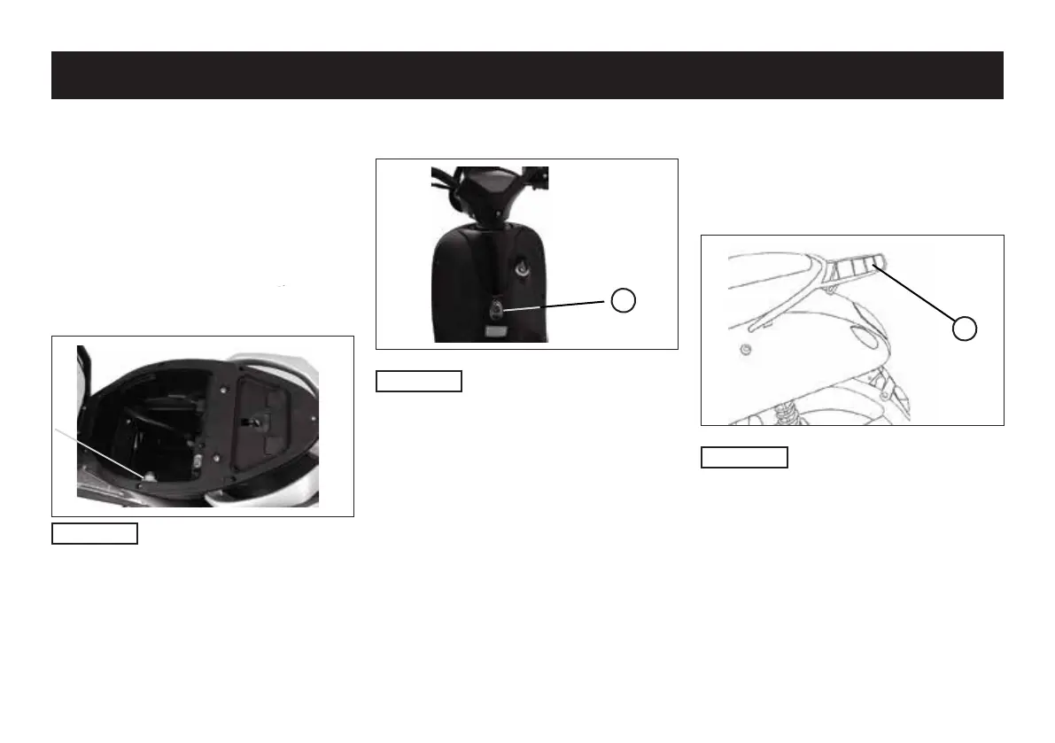 Page #222 background image