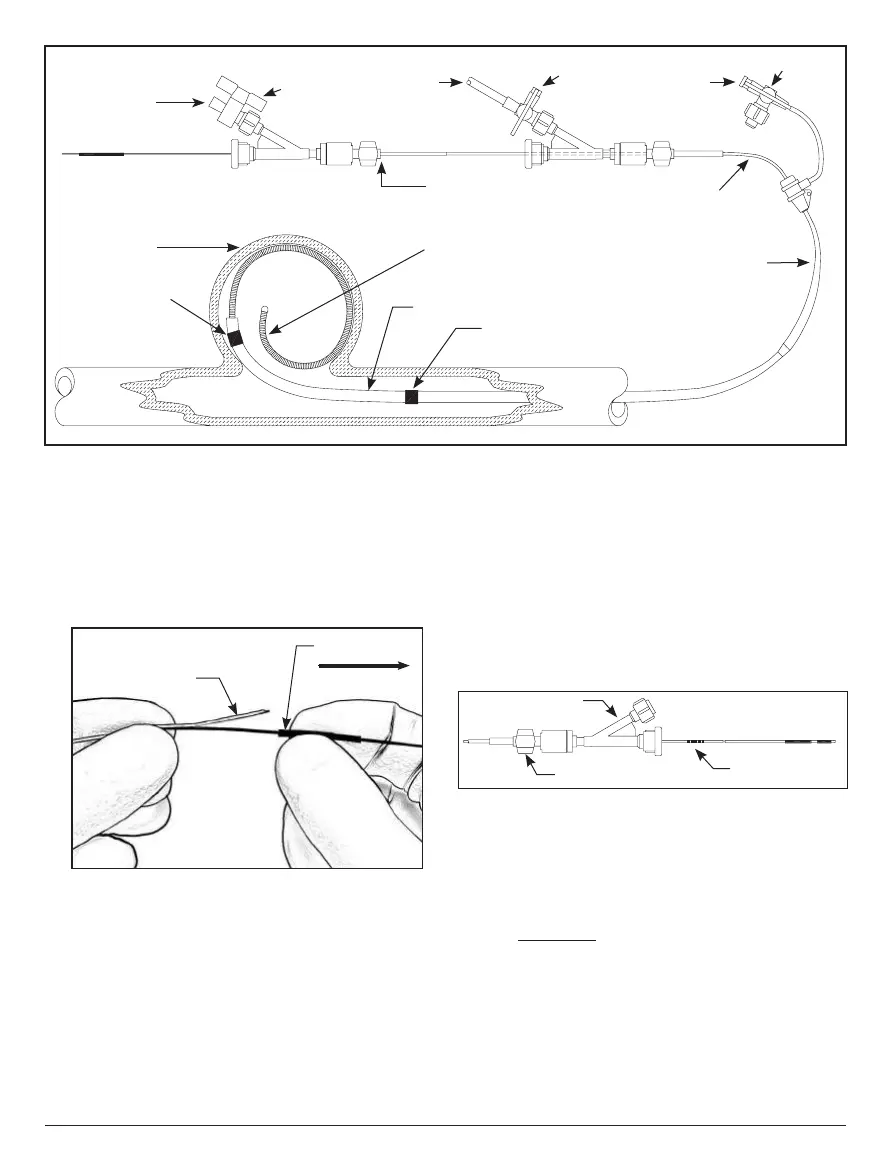 Page #48 background image