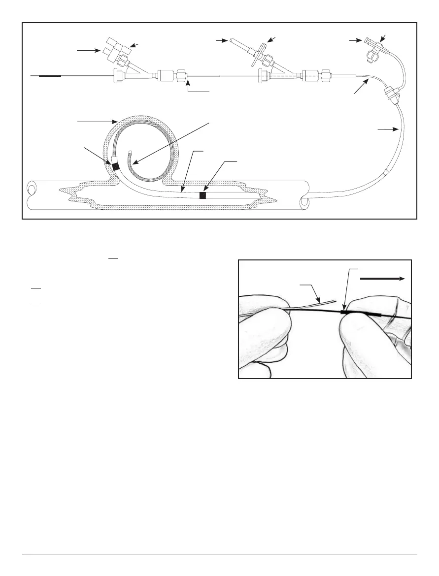 Page #51 background image