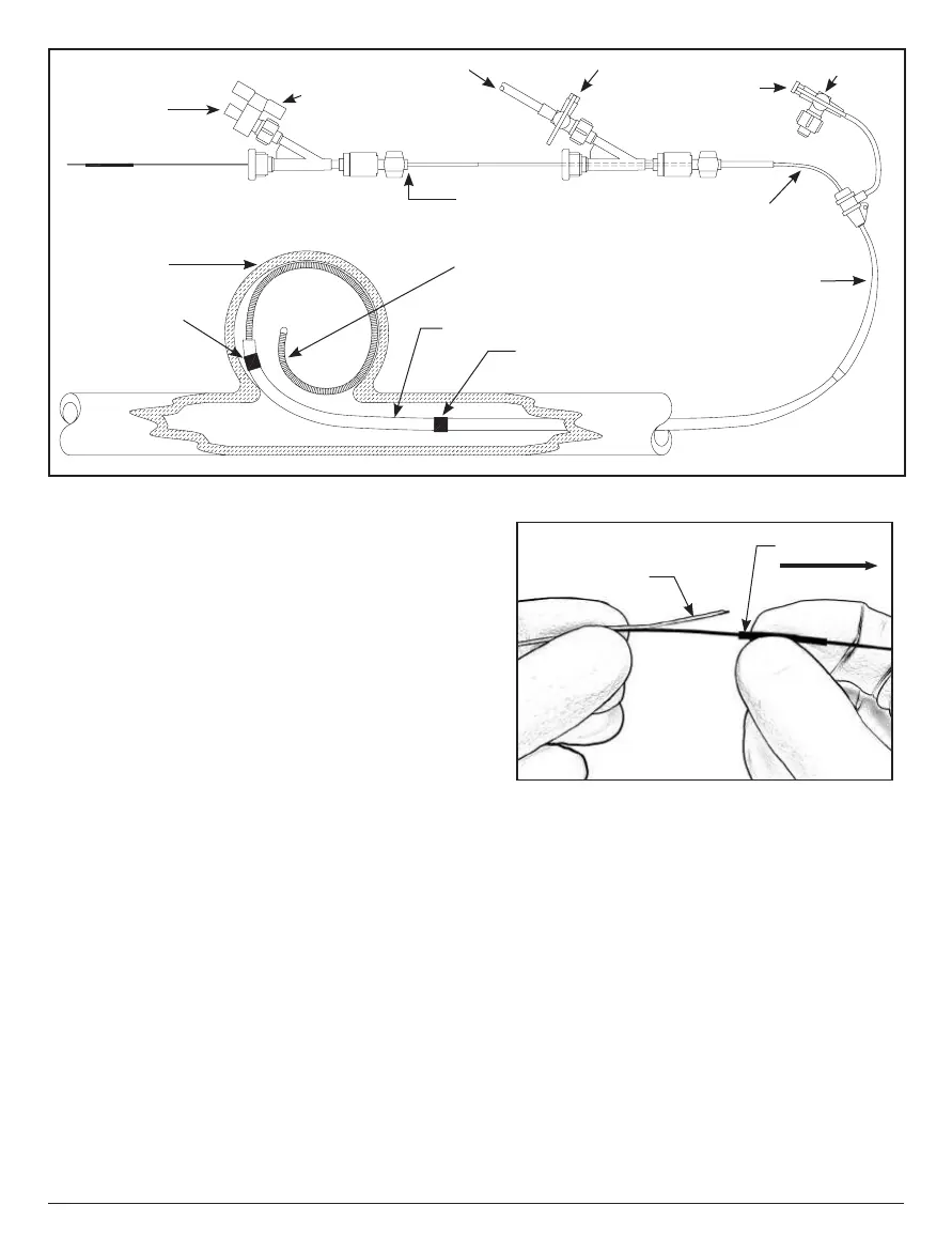 Page #58 background image