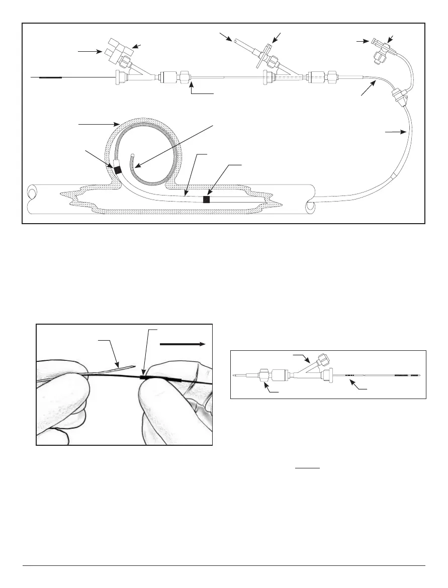 Page #62 background image