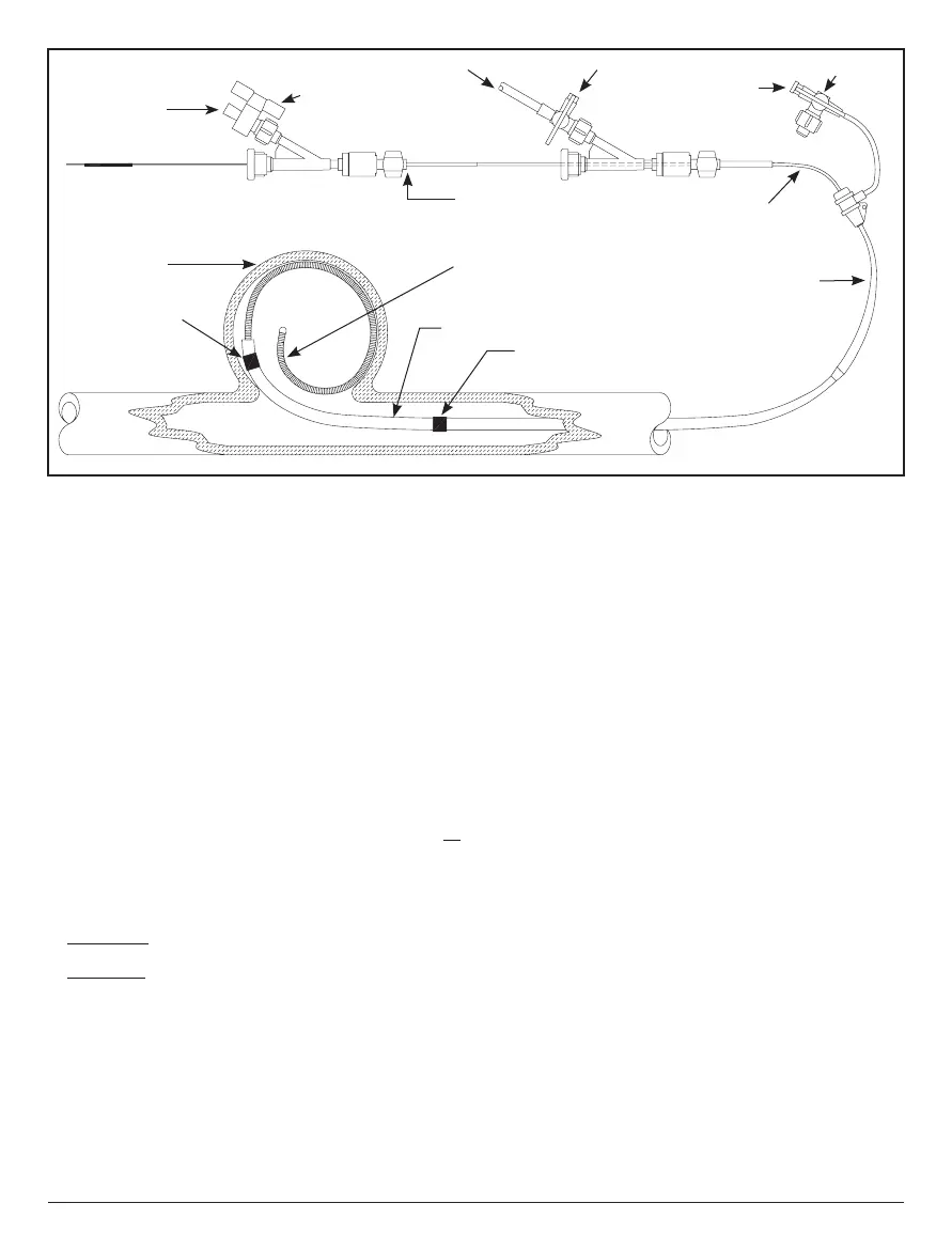 Page #65 background image
