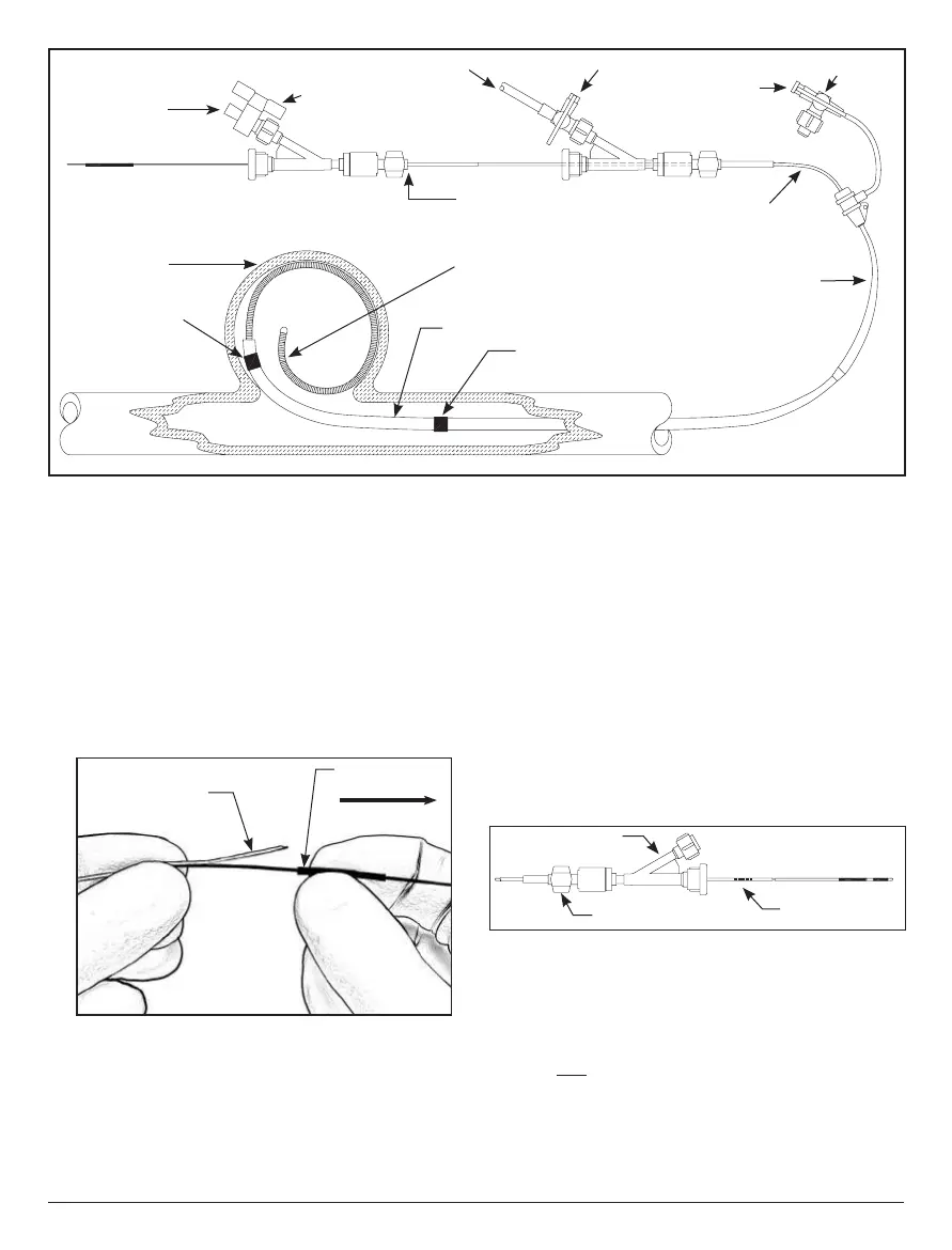 Page #69 background image