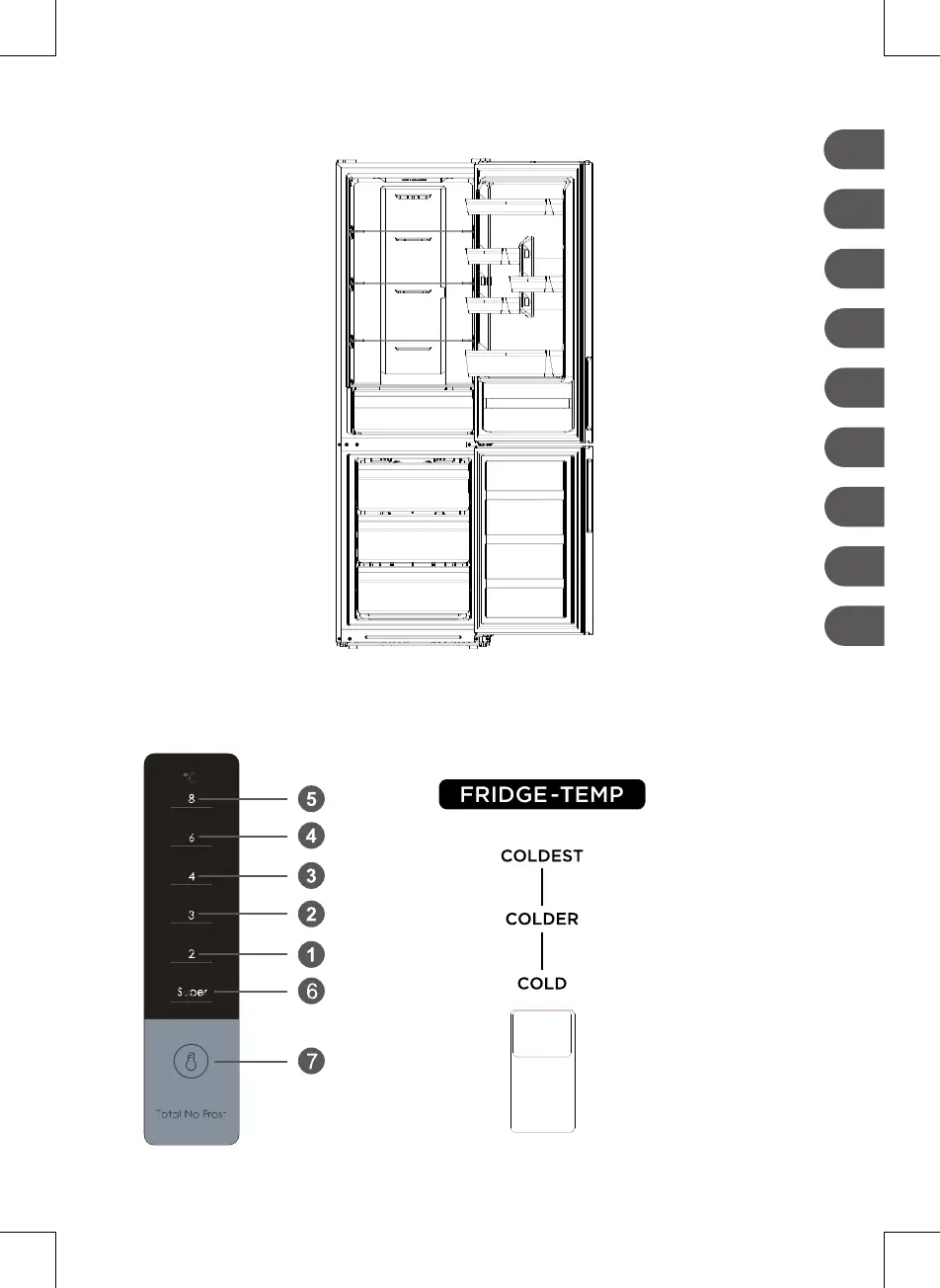 Page #3 background image