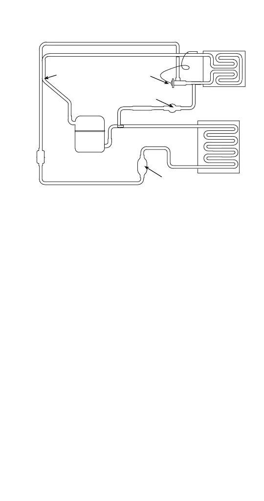 Page #231 background image
