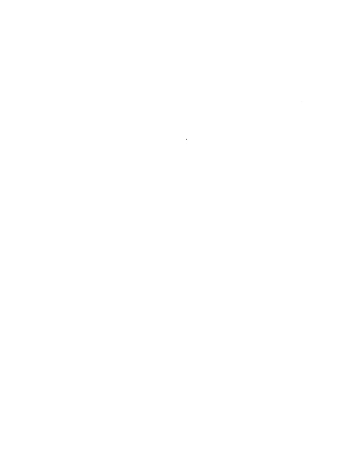 Page #225 background image