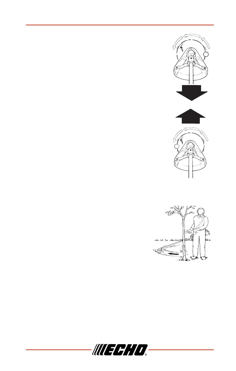 Page #29 background image