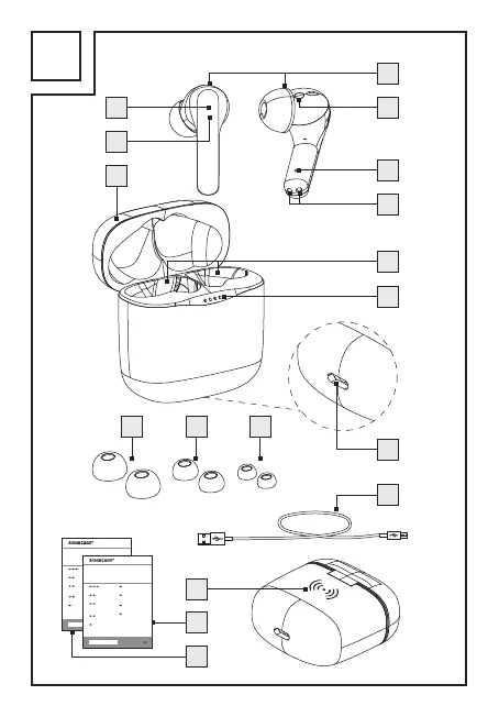 Page #3 background image