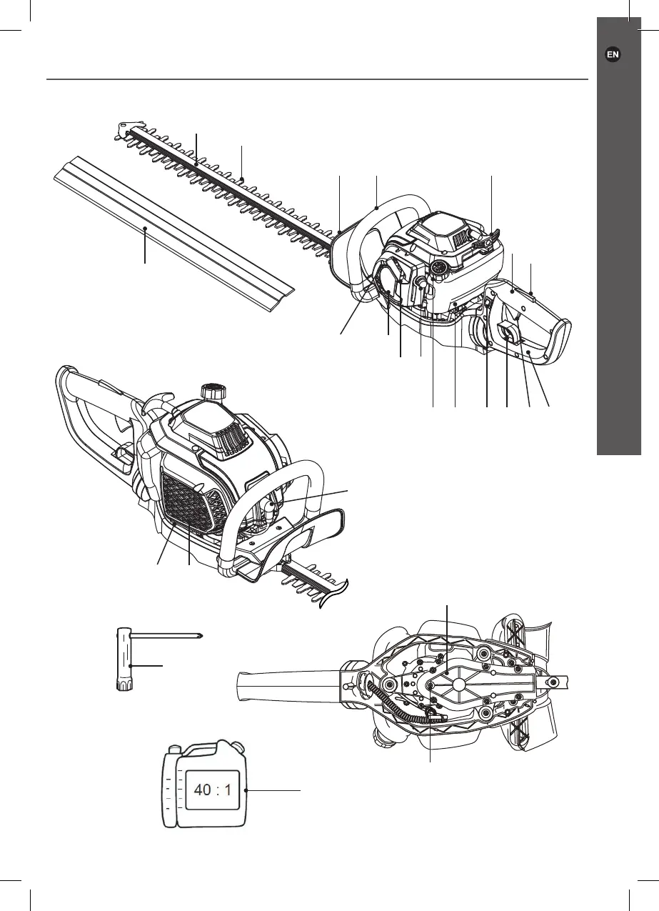 Page #13 background image