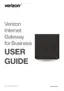 Preview: User Guide