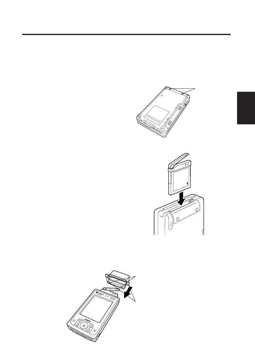 Page #117 background image