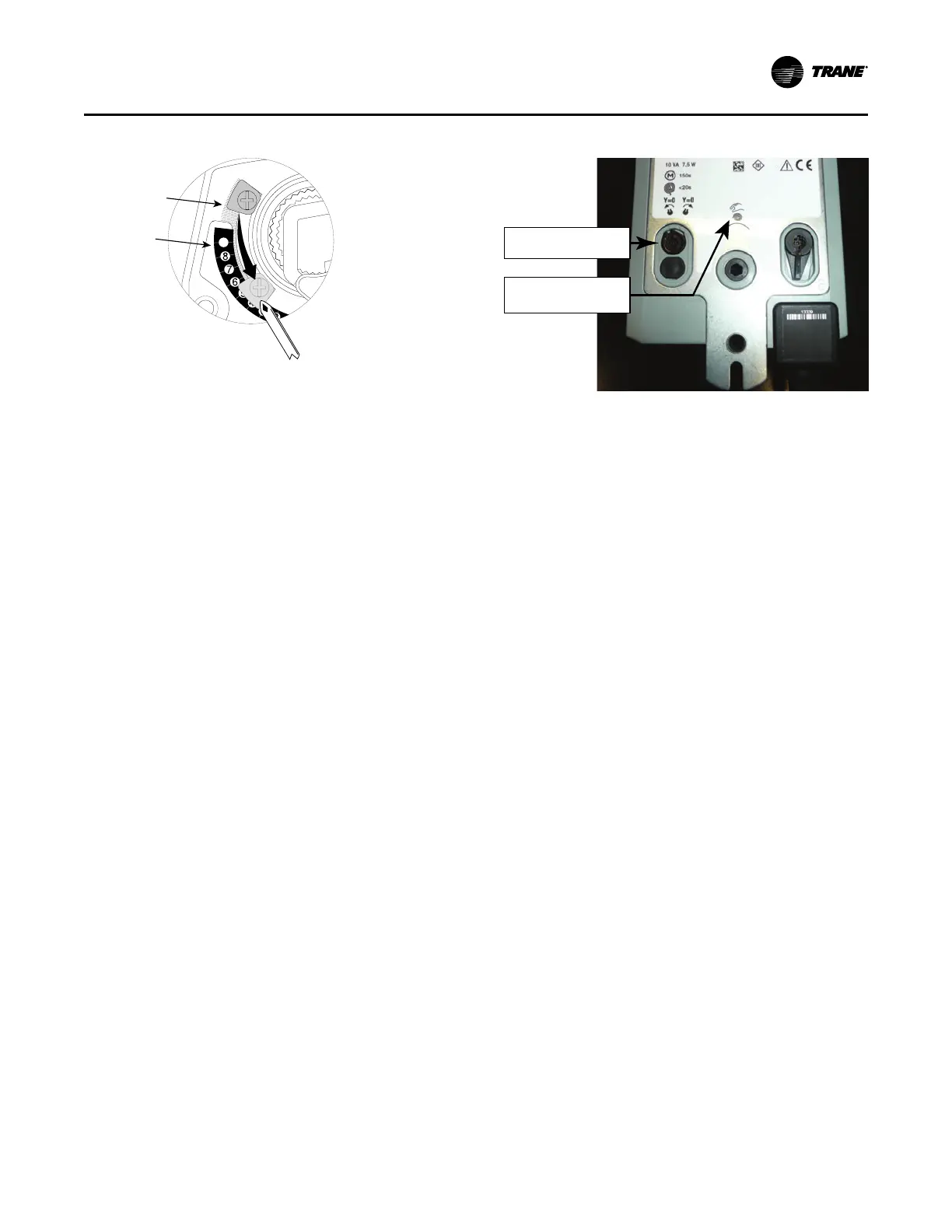 Page #55 background image