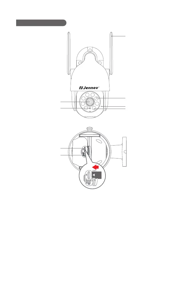 Page #4 background image