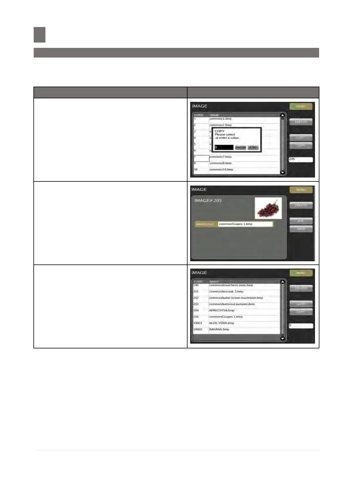 Page #213 background image