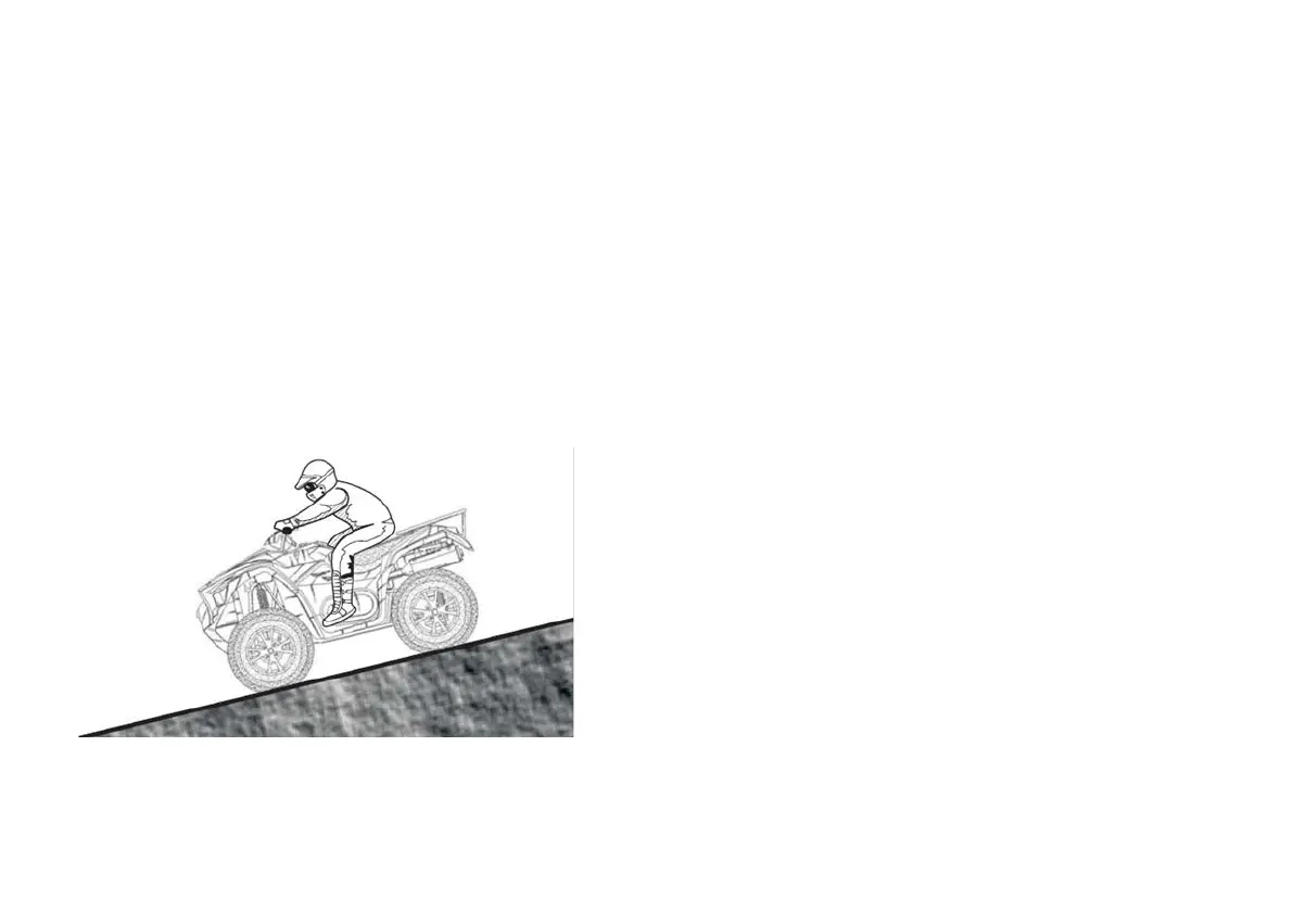 Page #111 background image