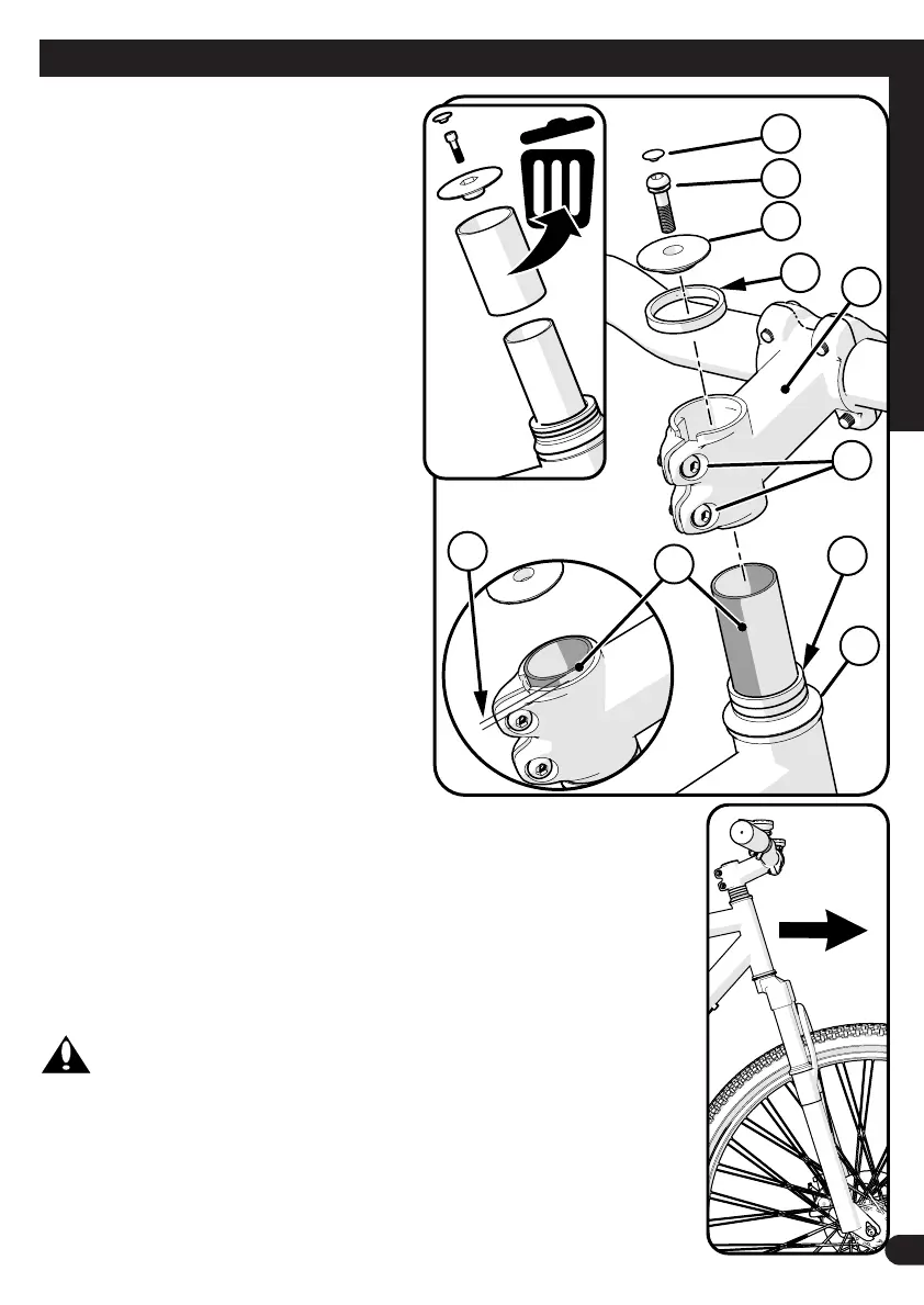 Page #13 background image