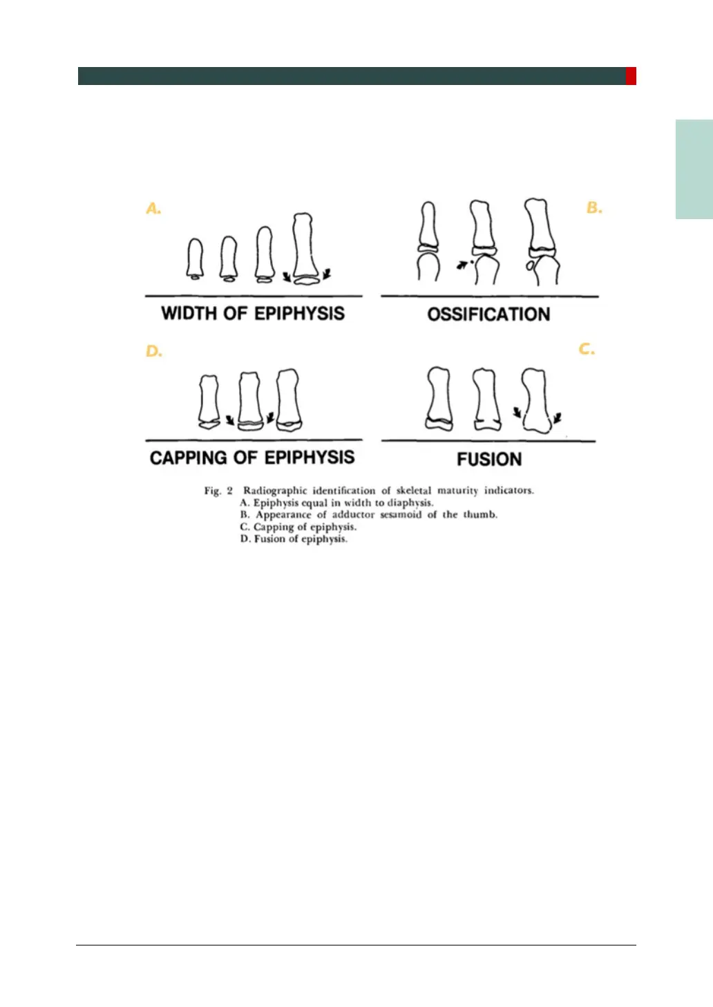 Page #183 background image