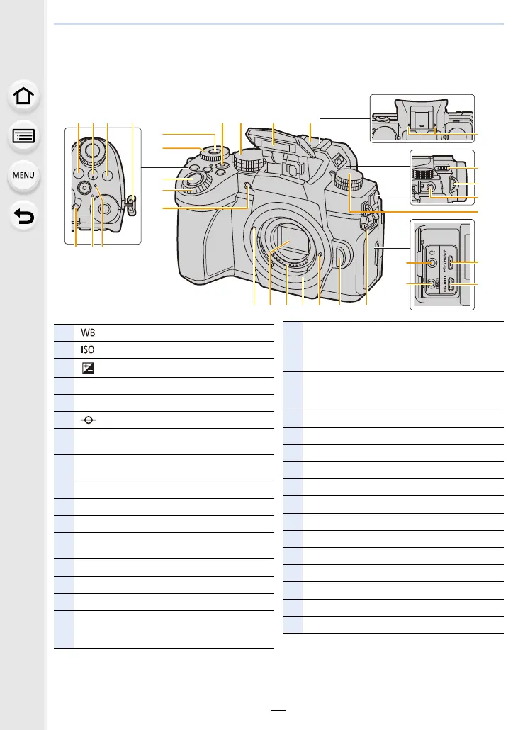 Page #16 background image