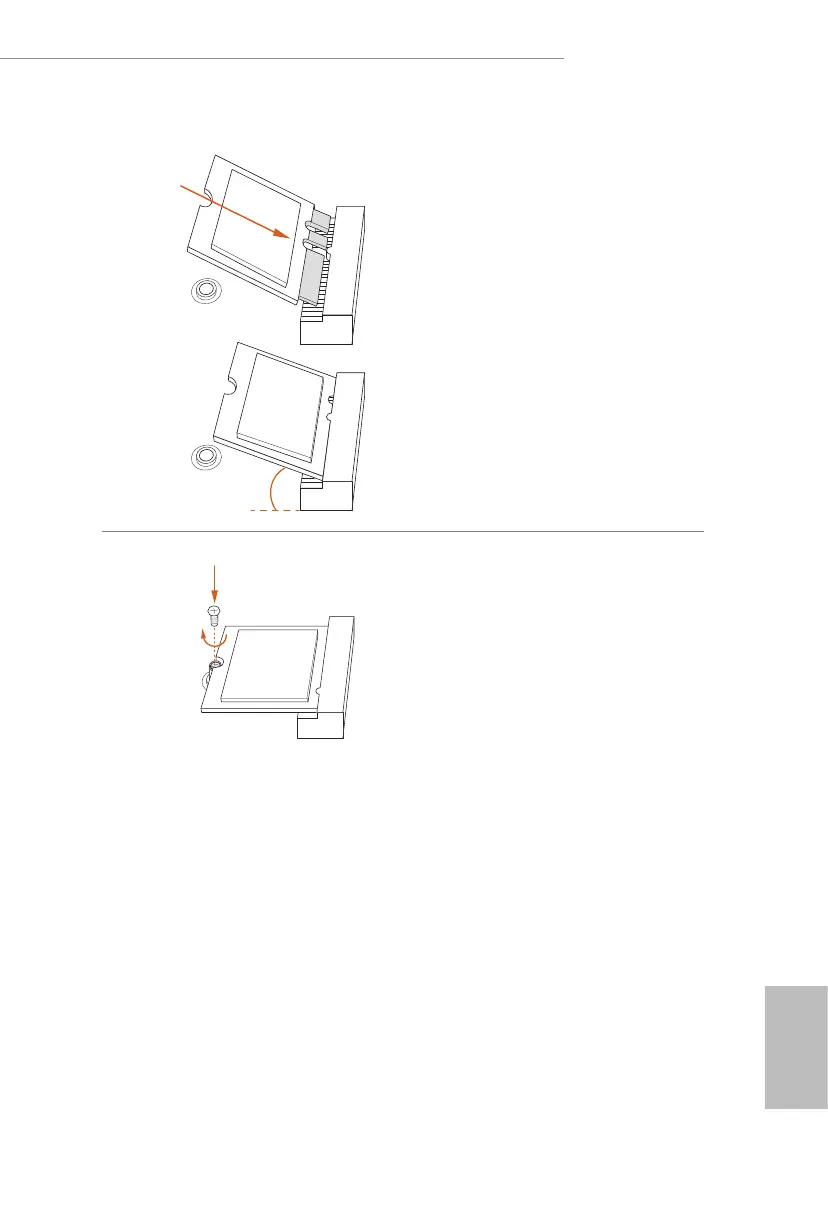 Page #29 background image