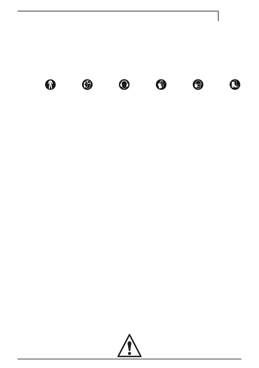 Page #219 background image