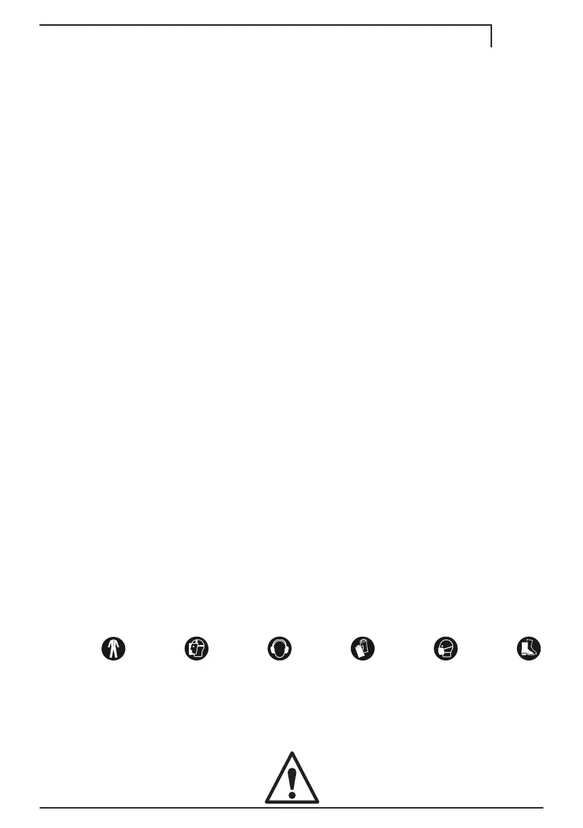 Page #229 background image