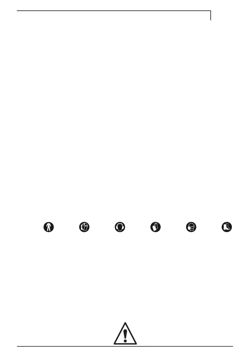 Page #239 background image