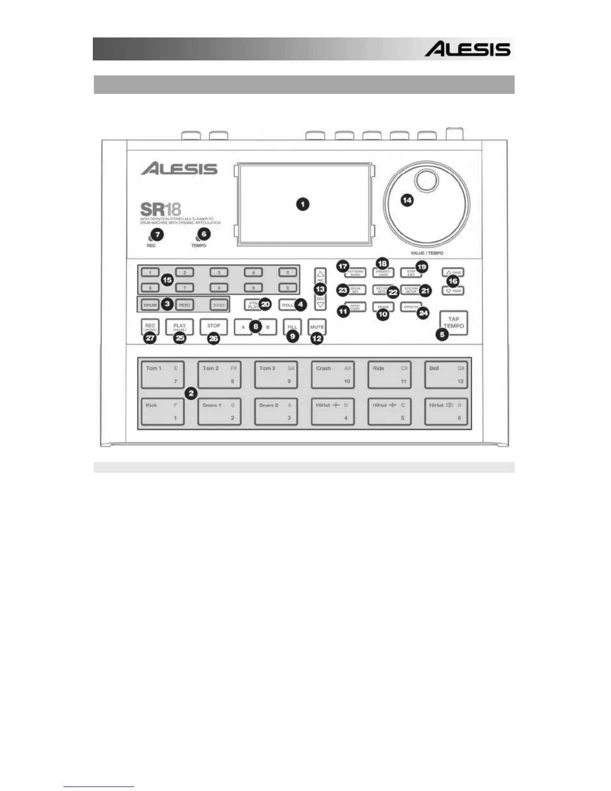 Page #3 background image