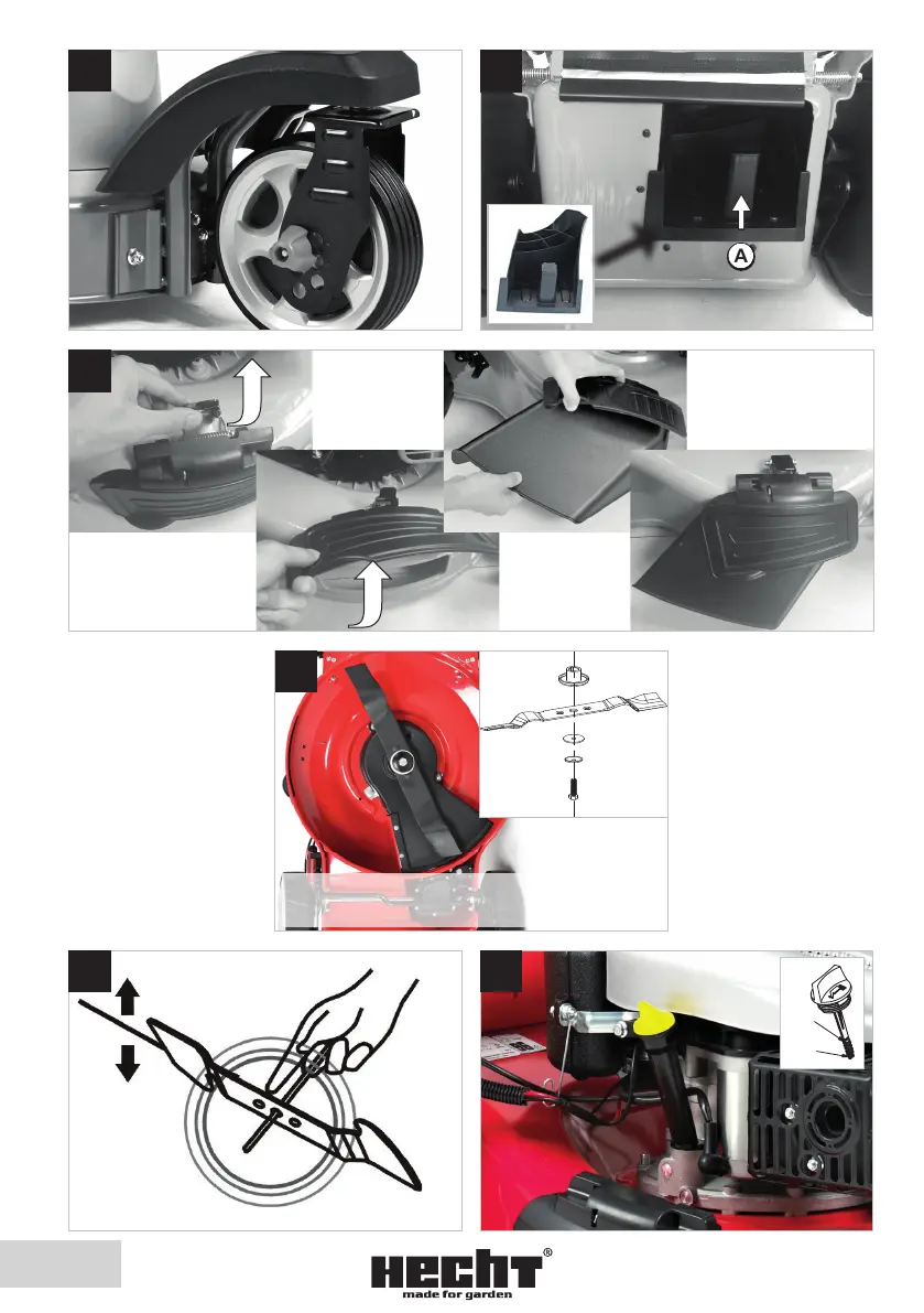Page #10 background image