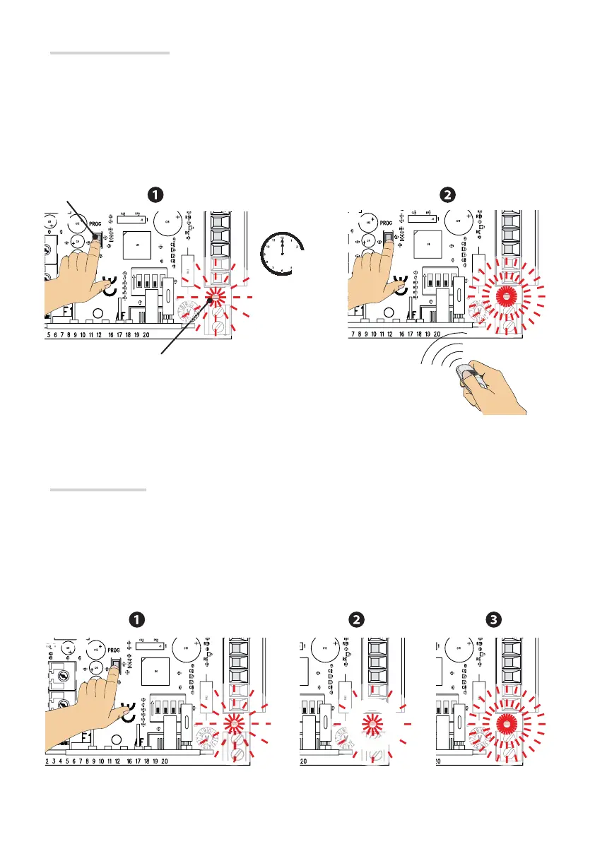 Page #23 background image