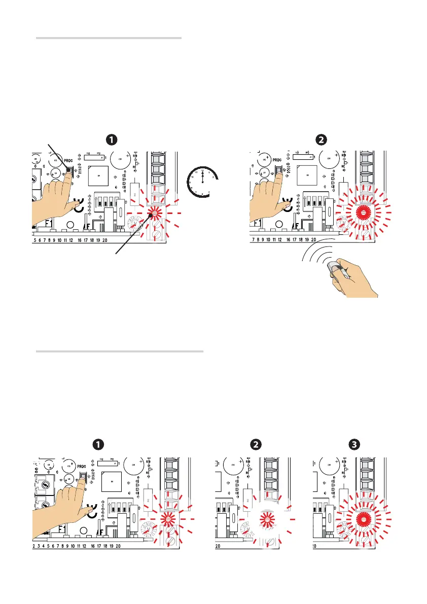 Page #47 background image