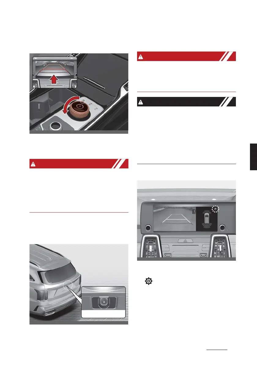 Page #233 background image